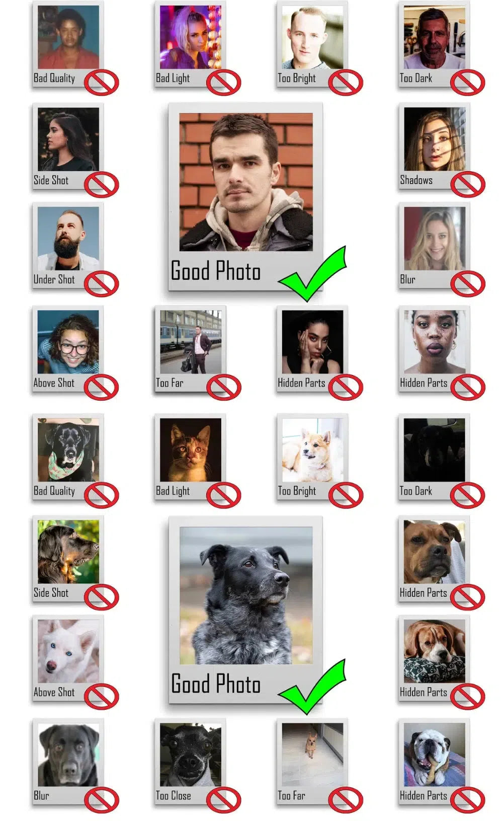 Photo Guide