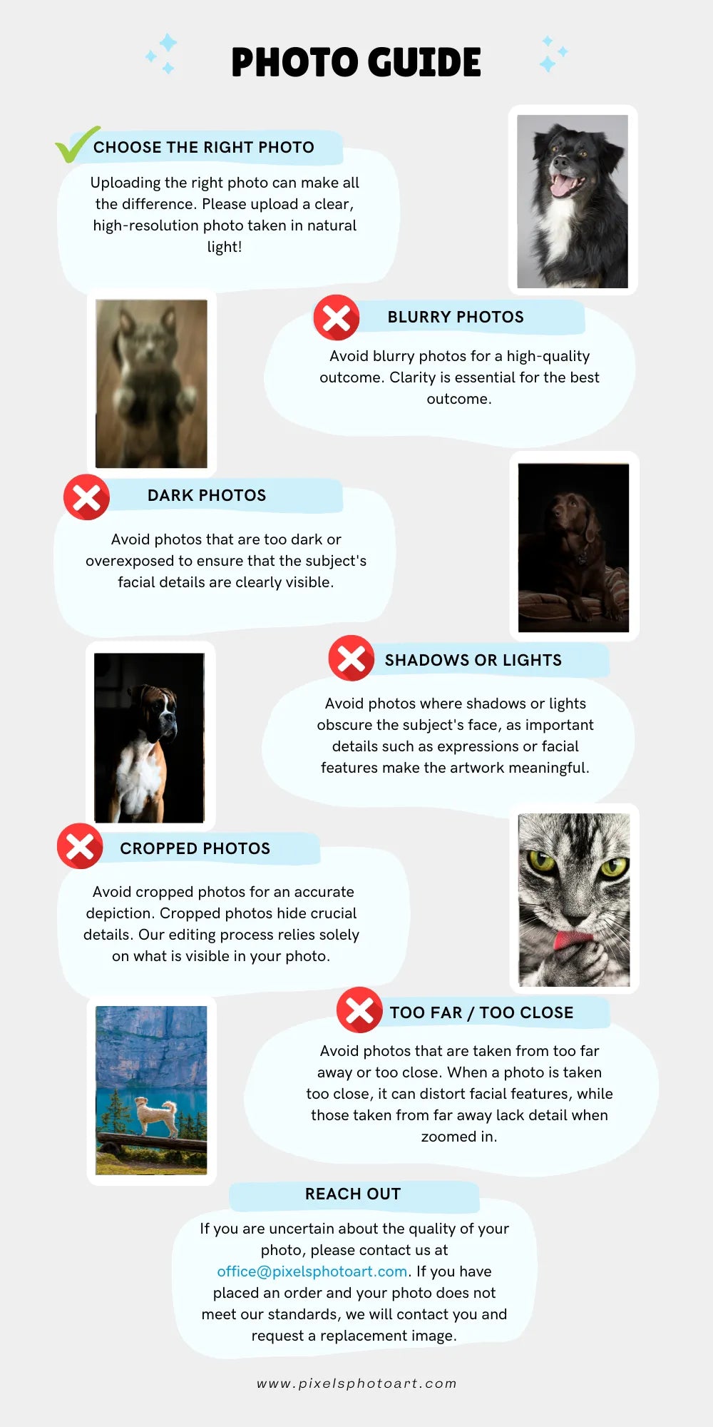 Pet Photo Guide