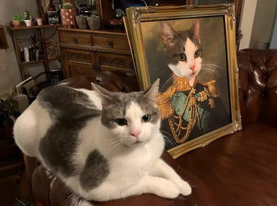 A gray-and-white cat relaxes on a leather couch beside a royal portrait of itself, dressed in military attire.