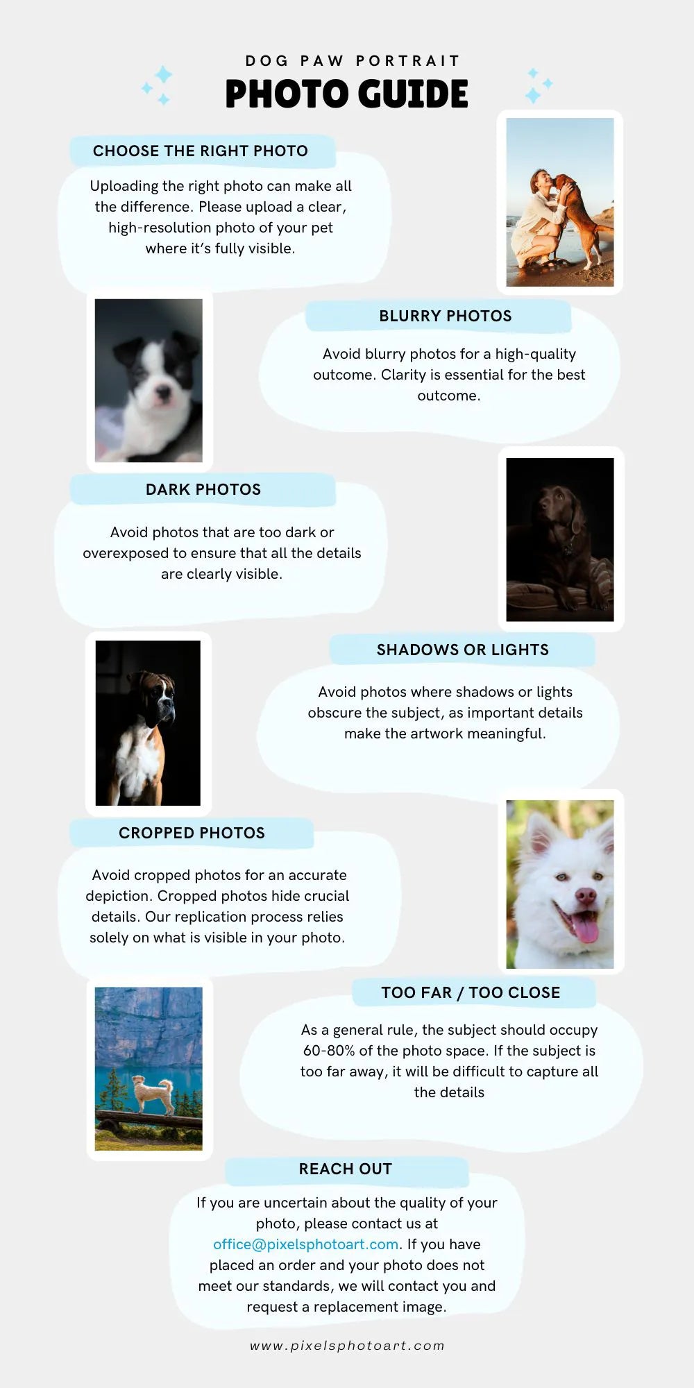 dog paw portrait guide