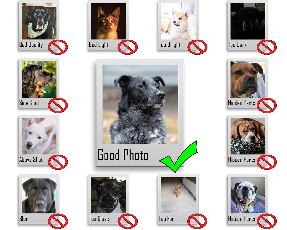 The Hero - Personalized Pet Picture