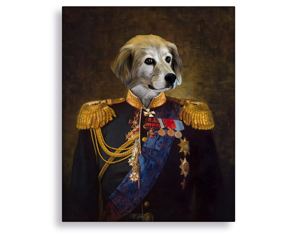 admiral dog portrait