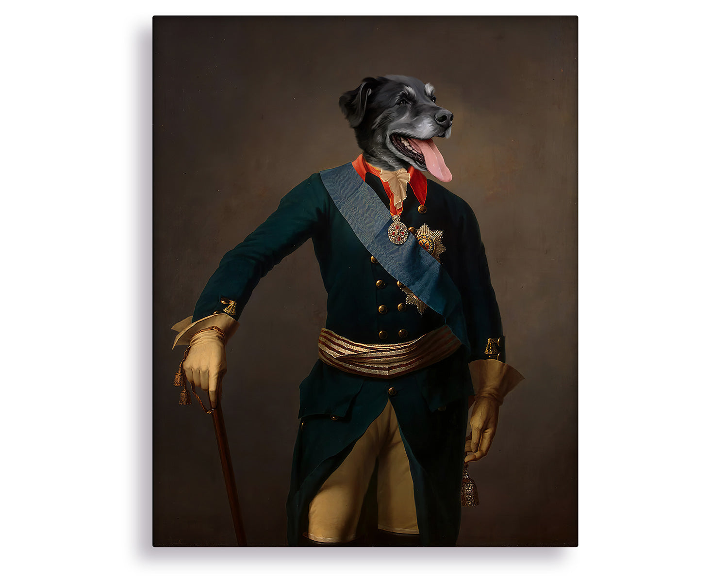 admiral pet portrait