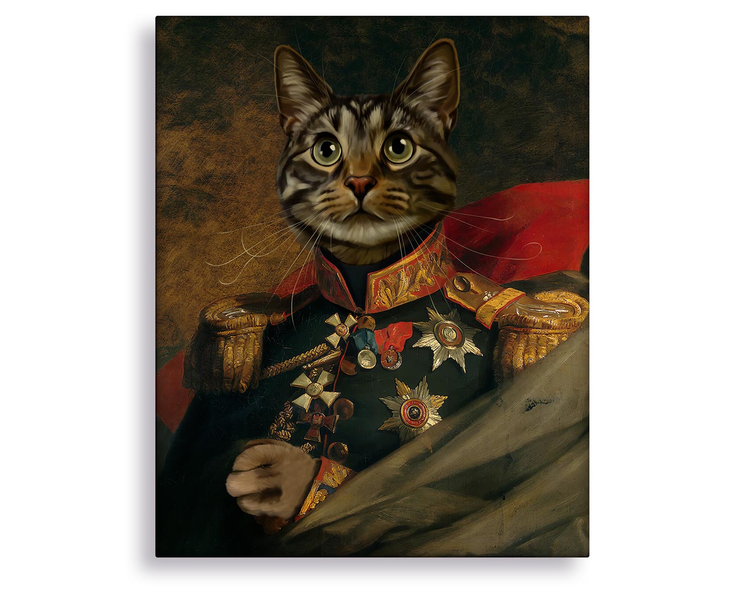 cat general painting