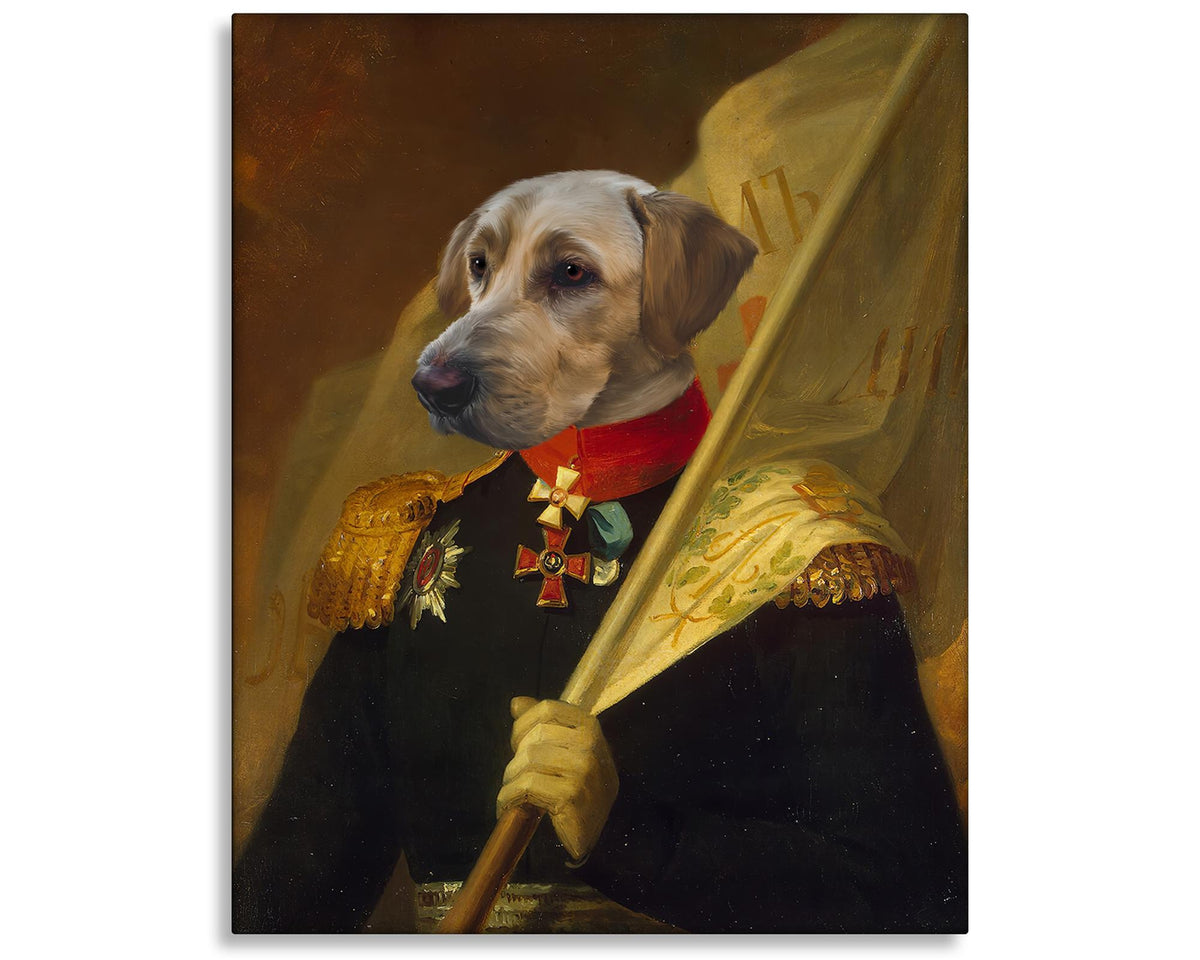 dog face portrait