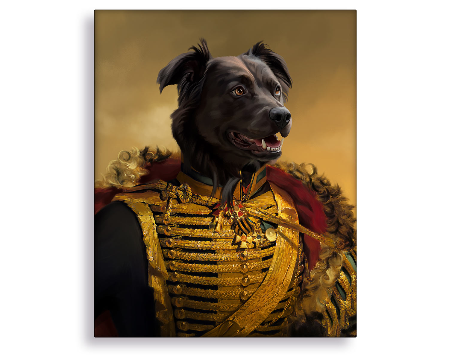 dog military portrait