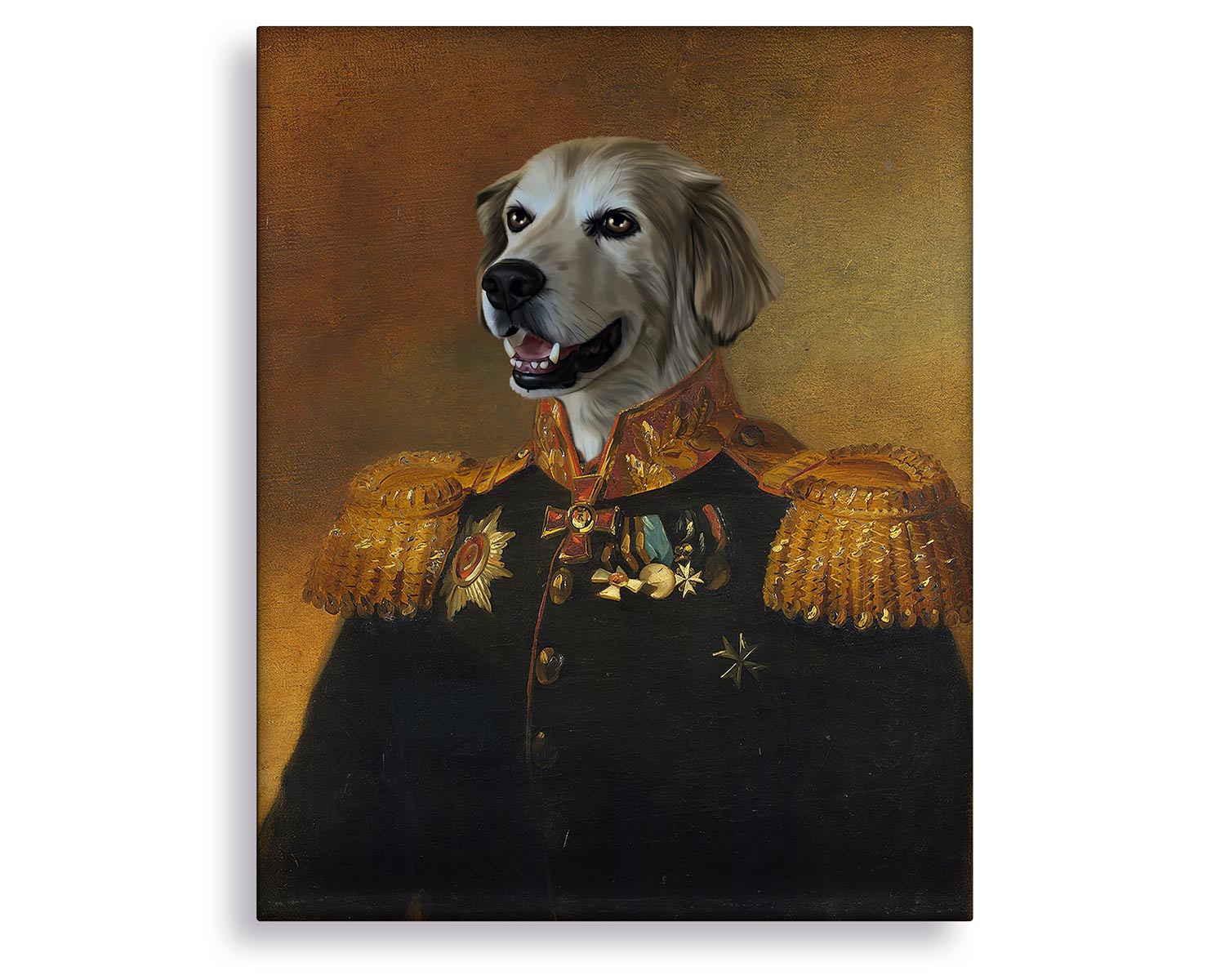military pet portrait