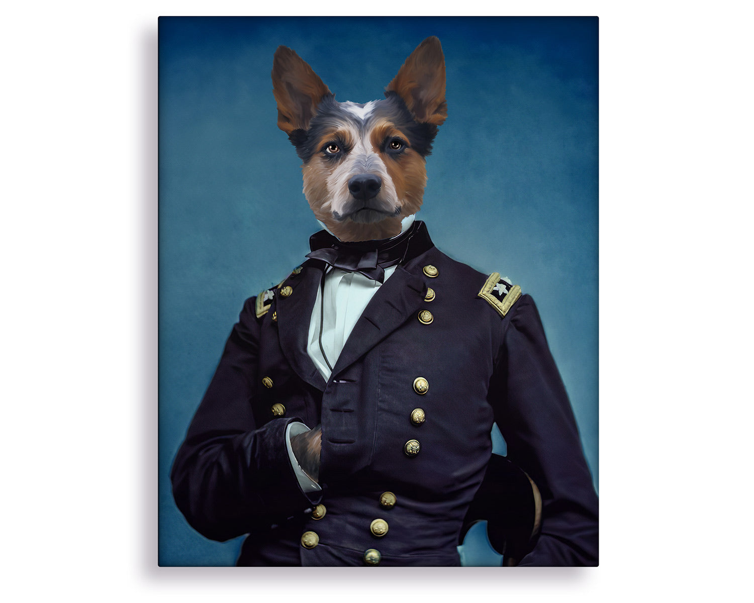 pet portraits in costume