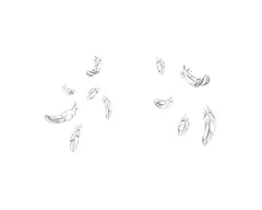 Feathers