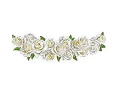 White Roses